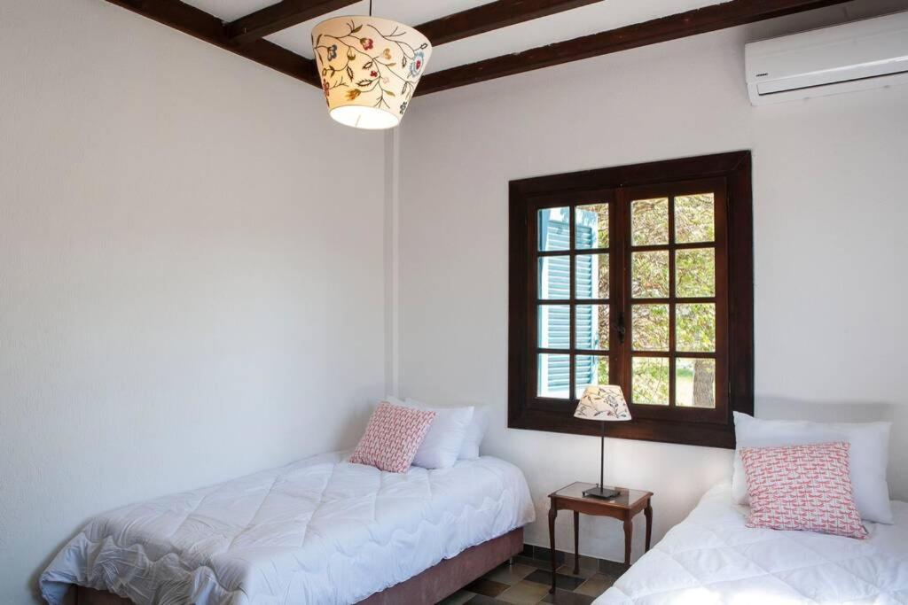 Villa Velissarios: Wonderful Villa Next To Beach Aegina 外观 照片