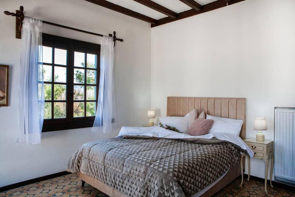 Villa Velissarios: Wonderful Villa Next To Beach Aegina 外观 照片