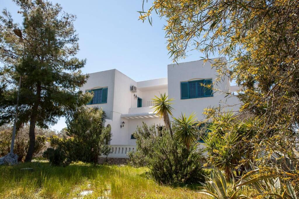 Villa Velissarios: Wonderful Villa Next To Beach Aegina 外观 照片