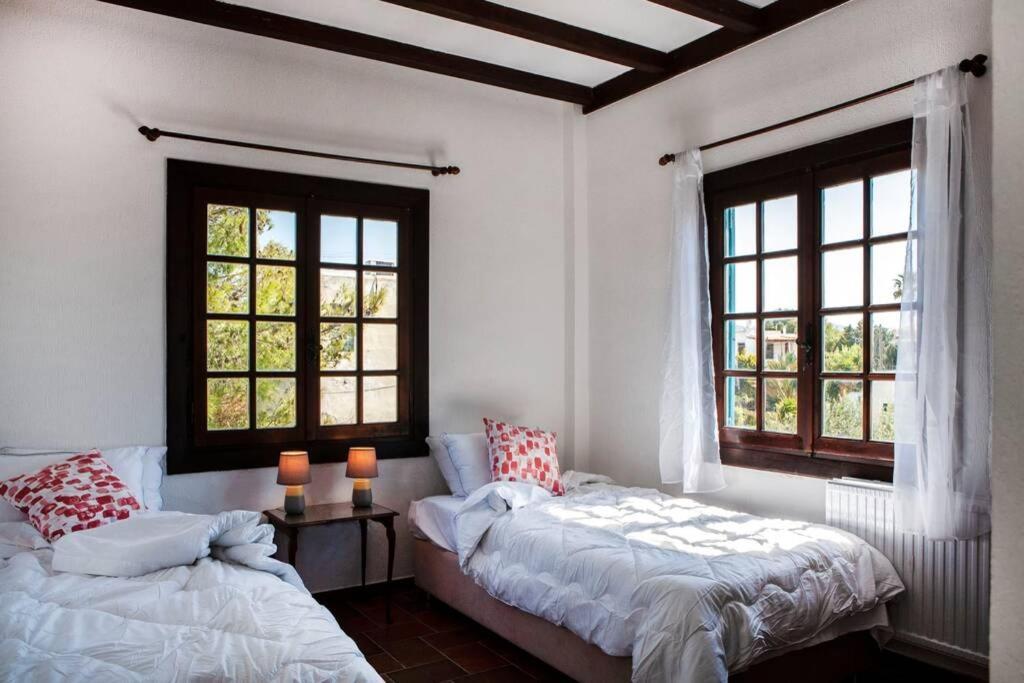 Villa Velissarios: Wonderful Villa Next To Beach Aegina 外观 照片