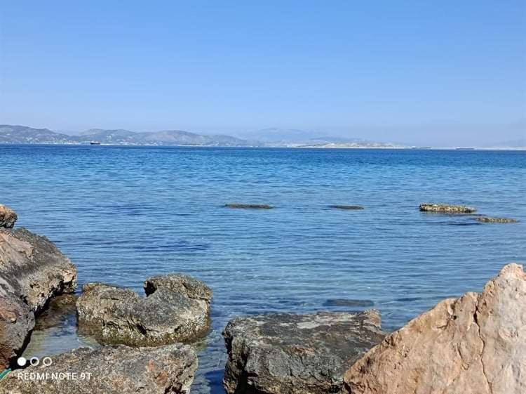 Villa Velissarios: Wonderful Villa Next To Beach Aegina 外观 照片